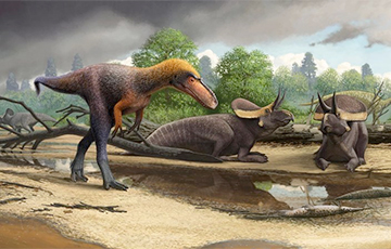 Ученые открыли новый вид гигантского хищного динозавра