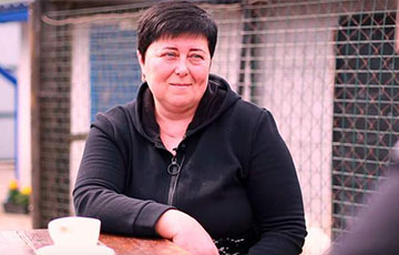 «32 проверки с августа по декабрь. Ничего не нашли»