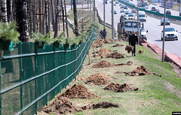 Lukashenka Ordered To Build Exhibition Center Near Kurapaty