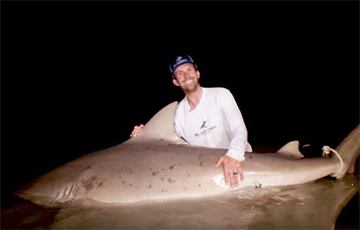 Видеофакт: Два американца поймали 181-килограммовую акулу