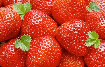 Kazhan-Haradok Resident: Strawberry Dealers Lost Conscience