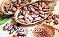 Ученые рассказали о неожиданной пользе какао-бобов