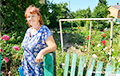 Как жительница деревни под Бобруйском зарабатывает на ягодах