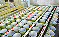 Компания «Пиро-Росс»: Беларусь отказалась от техобслуживания салютных установок