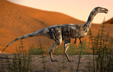 Чылійскія навукоўцы выявілі незвычайнага суседа старажытных дыназаўраў