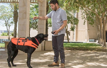 Израильские ученые создали пульт для управления собакой