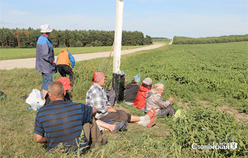 Shock: One Of Collective Farms In Braslau District Cannot Pay Off Workers Since 2018