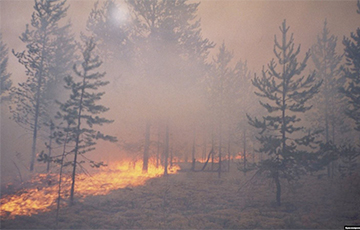 Беларускія леснікі тушаць пажар на мяжы з Украінай