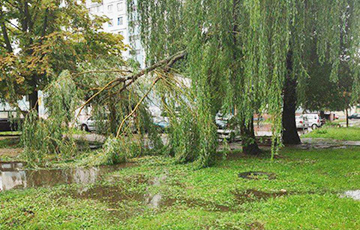 Фотофакт: Ливень затопил Могилев