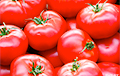 Россия вернула в Беларусь тонны томатов