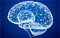 Ученые раскрыли главную тайну человеческого мозга