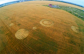 Ученые объяснили, откуда на полях появляются таинственные круги