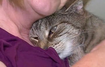 Сбежавший кот вернулся домой спустя 11 лет скитаний
