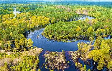 Новый радионуклид для Беларуси?