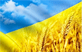 Украіна ставіць рэкорды ў экспарце пшаніцы