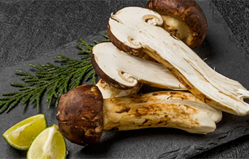 Беларусь скупает китайские грибы