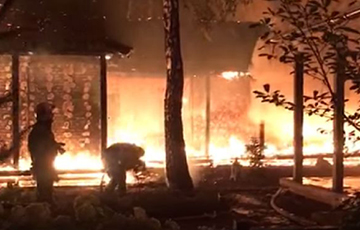 Экс-глава Нацбанка Украины заявила о поджоге ее дома под Киевом