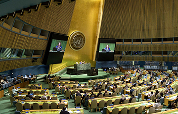 Зачем вам, поручики, чужая земля?