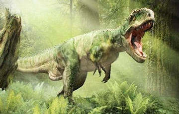 Тиранозавр рекс мог быть на 70% больше, чем считалось ранее