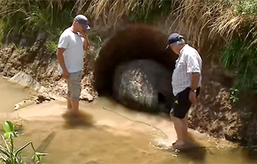 В Аргентине нашли 10-тысячелетний панцирь доисторического броненосца