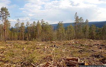 «Впечатление, что государства нет»