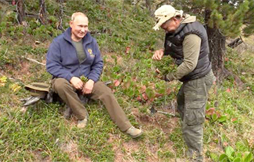 Tages-Anzeiger:  Путин собирал грибы со своим преемником?