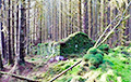 Ученые раскрыли тайну загадочного сооружения в лесах Шотландии