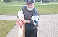 Фотофакт: Минский рыбак выловил на Цнянке огромную щуку