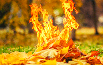 Борисовчанин гулял по городу и поджигал дома