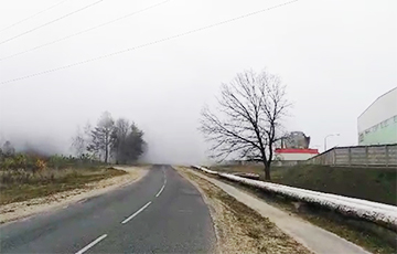 Утро в Светлогорске