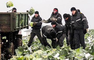 «Половину милиции можно отправить поднимать сельское хозяйство — больше пользы будет»