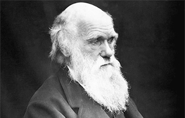 Ученые опровергли главную гипотезу Дарвина
