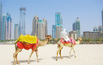 Не только нефть и газ: В чем настоящая причина богатства ОАЭ