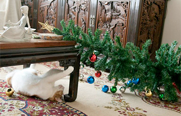Фотофакт: Как коты и собаки побеждают новогодние елки
