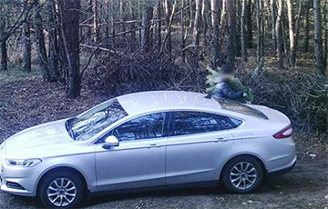 Беларус пайшоў у лес па ялінку – і трапіў у аб'ектыў фотапасткі