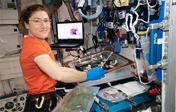 Астронавты впервые в истории испекли печенье в космосе