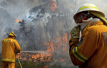 Відэафакт: Дым ад лясных пажараў у Аўстраліі дайшоў да Чылі і Аргентыны