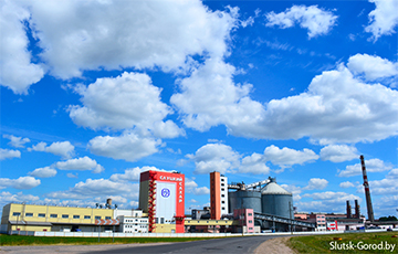 Are Sugar Refineries in Belarus Idle?