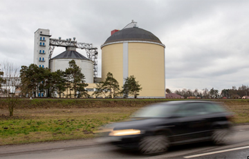 Трем сахарным заводам выдадут по 40 миллионов за счет белорусских граждан
