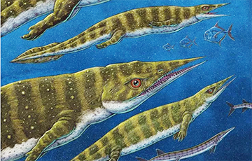 На Аляске нашли рептилию, которая жила 200 миллионов лет назад