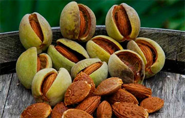 Медики назвали самые полезные орехи для сердечно-сосудистой системы