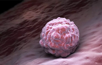 Ученые впервые в истории омолодили человеческие клетки