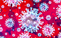 Число заразившихся коронавирусом в мире превысило 500 тысяч человек
