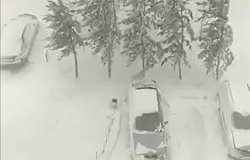 На Казахстан обрушился снежный буран