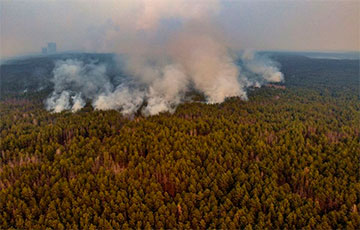 В Киевской области и в Чернобыльской зоне горит лес