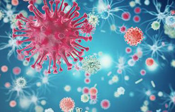 Минздрав рассказал о ситуации с заразным штаммом коронавируса «Пирола» в Беларуси