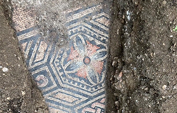 Под виноградником в Италии найдена древнеримская мозаика