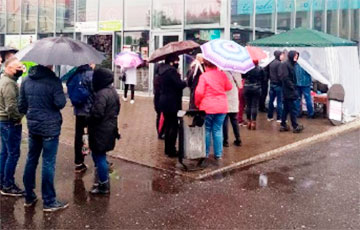 «Стоп таракан!»: Жители Светлогорска выстраиваются в очереди, чтобы подписаться за Тихановсих