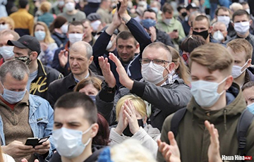 «Стоп таракан!»: в 37 городах Беларуси собирали подписи за альтернативных кандидатов