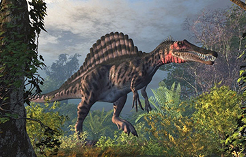 Ученые рассказали о диете спинозавров